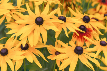 Similar image 21848010