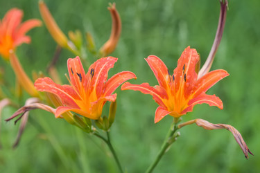 Similar image 21848011