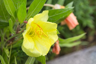 Similar image 21848013