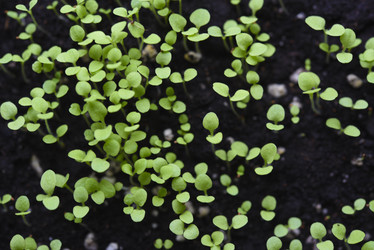 Similar image 21828388