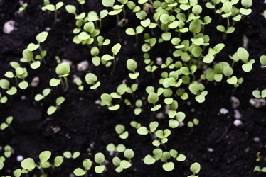 Similar image 21828389