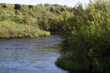 Similar image 21828390