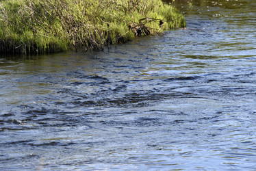 Similar image 21828391