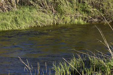 Similar image 21828395