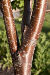 Similar image 21828405