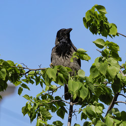 Similar image 21840529