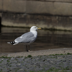 Similar image 21838490