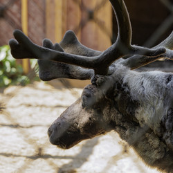 Similar image 21838492