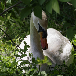 Similar image 21838493