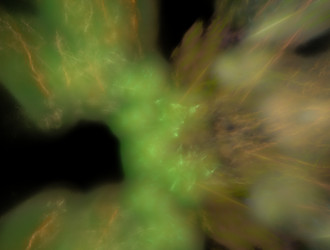 Similar image 21839701