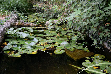 Similar image 21828409