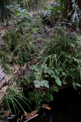 Similar image 21828410