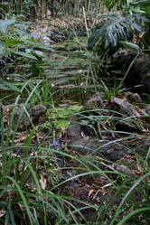 Similar image 21828411