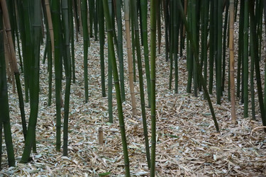 Similar image 21828412