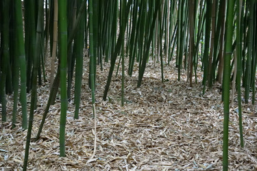 Similar image 21828413