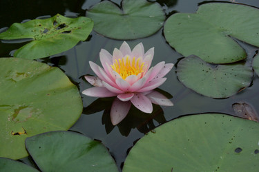 Similar image 21828417