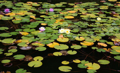 Similar image 21828523