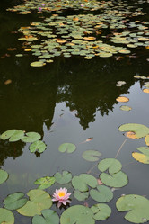 Similar image 21828524