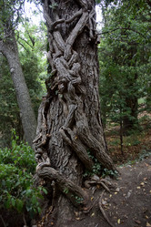 Similar image 21828526