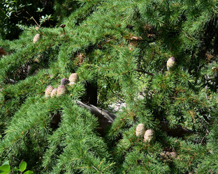 Similar image 21828528