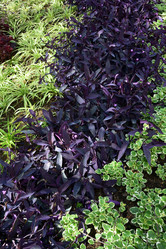 Similar image 21828529