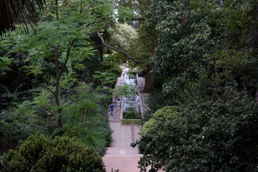 Similar image 21828530