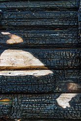 Similar image 21850592