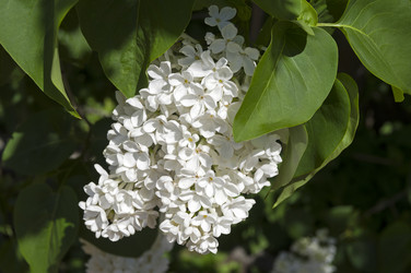 Similar image 21828440