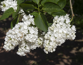 Similar image 21828441