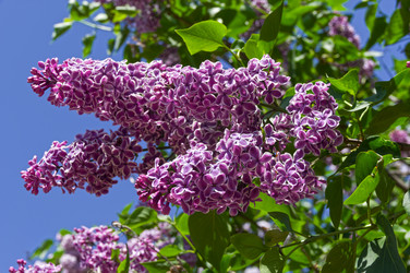 Similar image 21828442