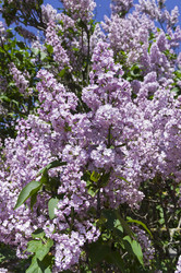 Similar image 21828443