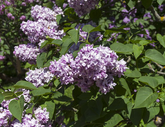 Similar image 21828446