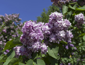 Similar image 21828447