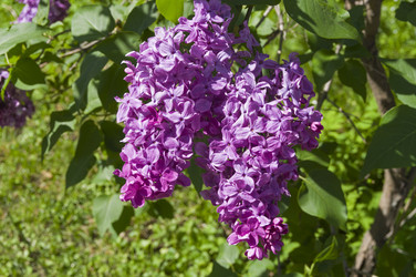 Similar image 21828448