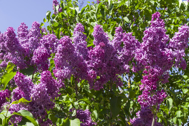 Similar image 21828449