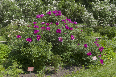 Similar image 21828450