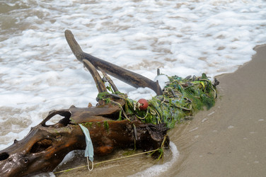 Similar image 21843059