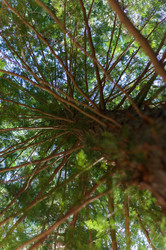 Similar image 21836707