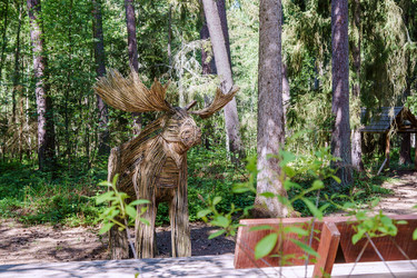 Similar image 21833000