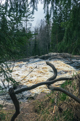 Similar image 21828880