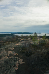 Similar image 21828549