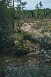 Similar image 21828550