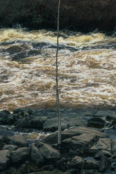 Similar image 21828555