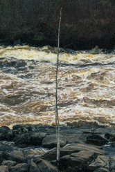 Similar image 21828556