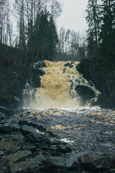 Similar image 21828557