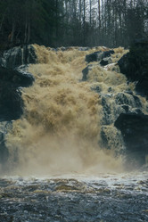 Similar image 21828558