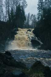 Similar image 21828559