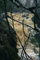 Similar image 21828562