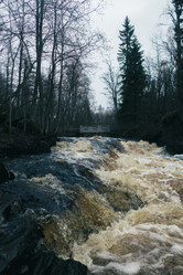 Similar image 21828889