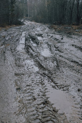 Similar image 21828893